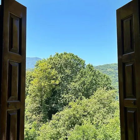 λευκή καμέλια Hotel