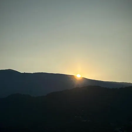 λευκή καμέλια *