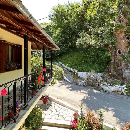 λευκή καμέλια Hotel