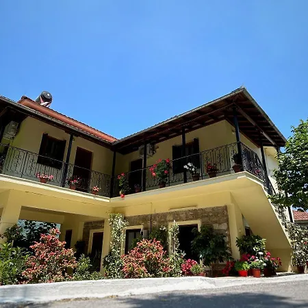 λευκή καμέλια Anilio Pelion