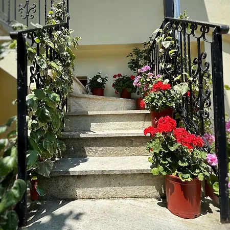 Hotel λευκή καμέλια *