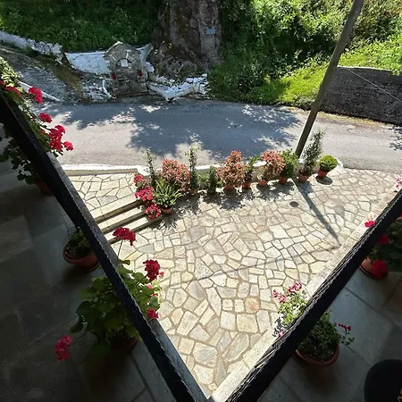 λευκή καμέλια *