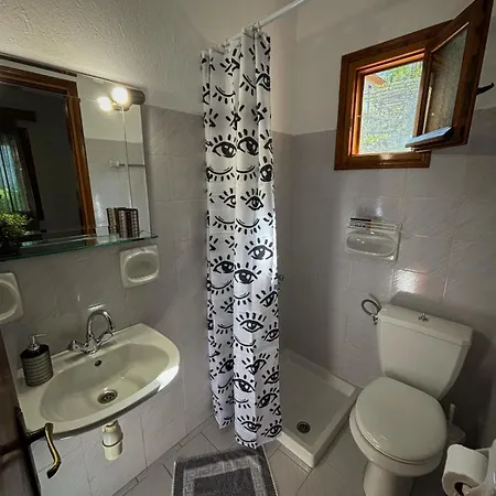 λευκή καμέλια