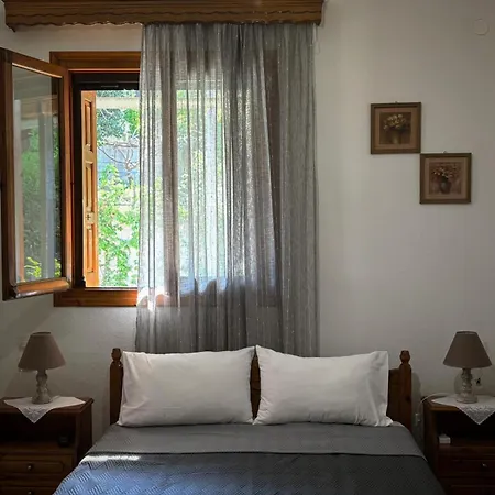 λευκή καμέλια Anilio Pelion