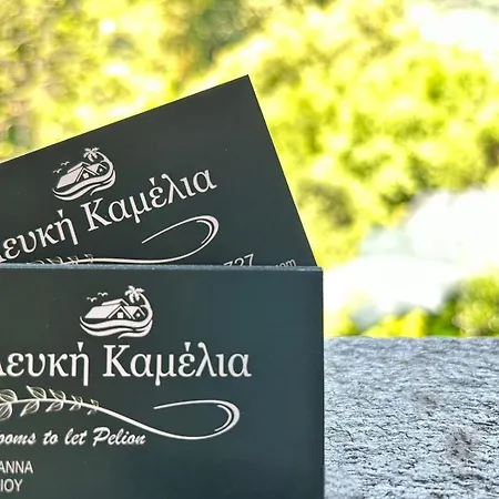 λευκή καμέλια * Anilio Pelion