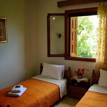 λευκή καμέλια Anilio Pelion