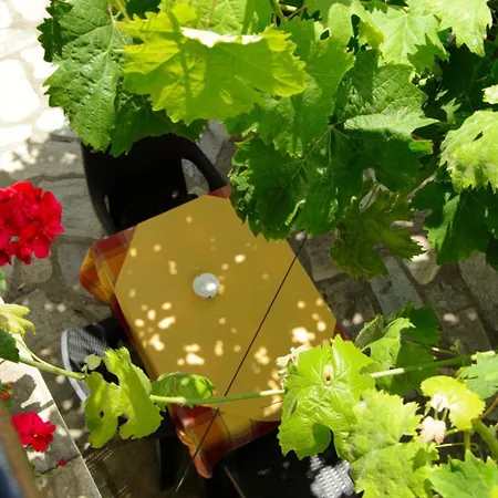 Hotel λευκή καμέλια Anilio Pelion