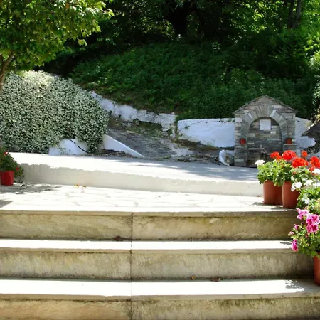 λευκή καμέλια