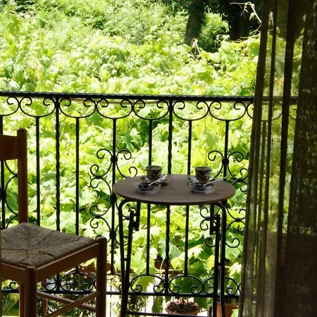 Hotel λευκή καμέλια Anilio Pelion