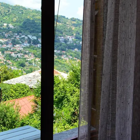 λευκή καμέλια