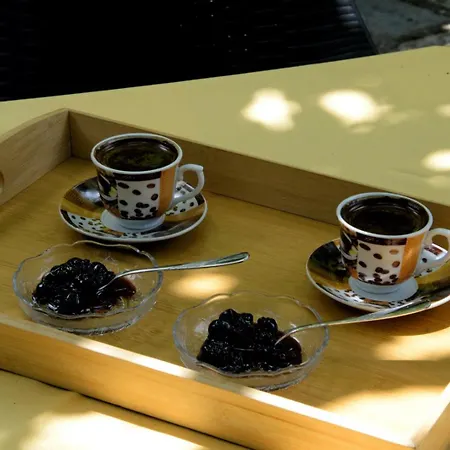 λευκή καμέλια Hotel