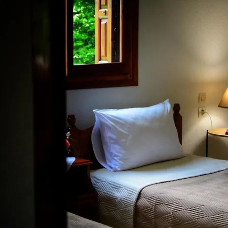 λευκή καμέλια