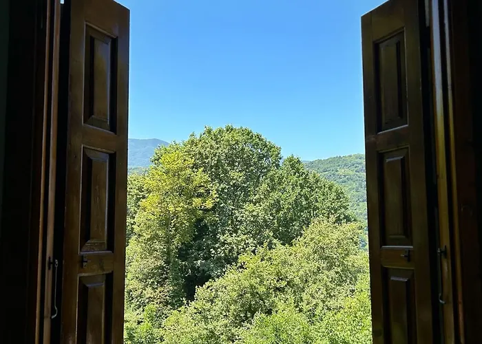 λευκή καμέλια Hotel