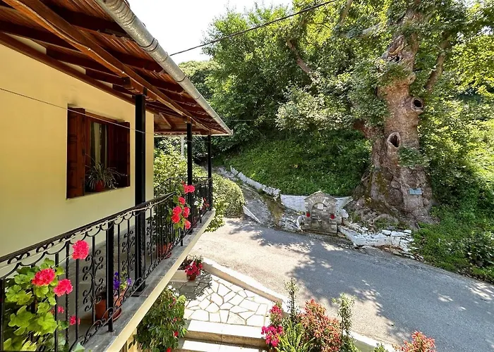 λευκή καμέλια Hotel