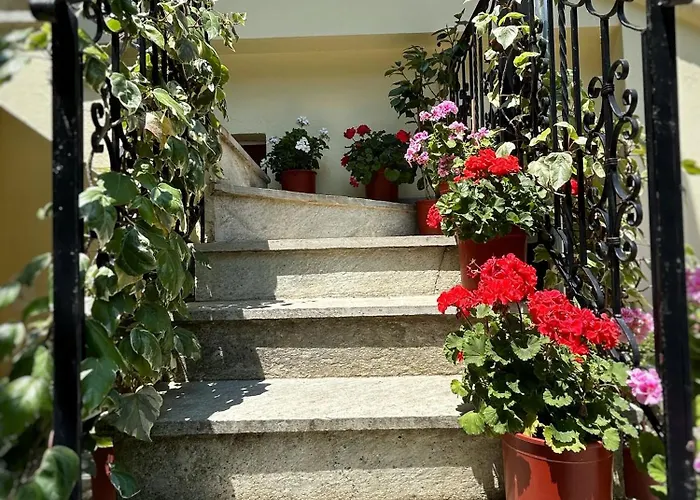 Hotel λευκή καμέλια *