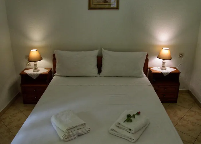 λευκή καμέλια Hotel