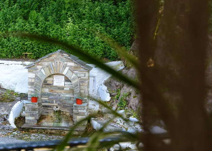 λευκή καμέλια Anilio Pelion