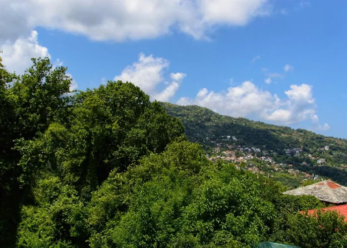 Hotel λευκή καμέλια Anilio Pelion