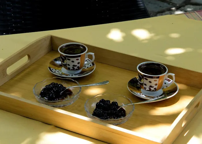 λευκή καμέλια Hotel