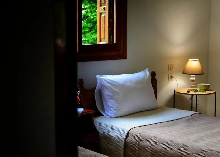 λευκή καμέλια