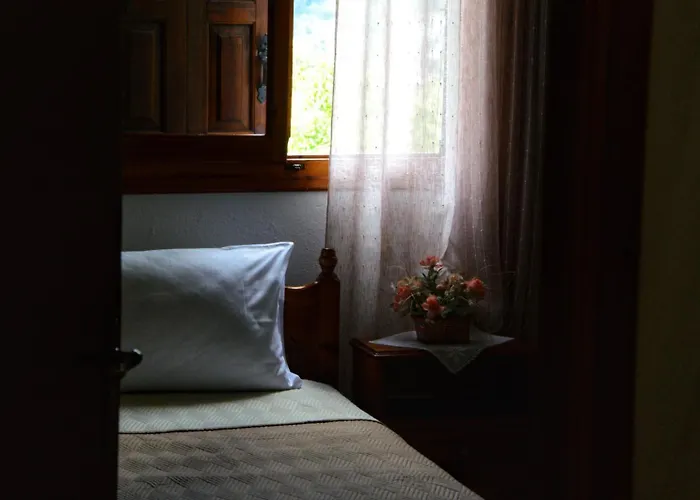 λευκή καμέλια